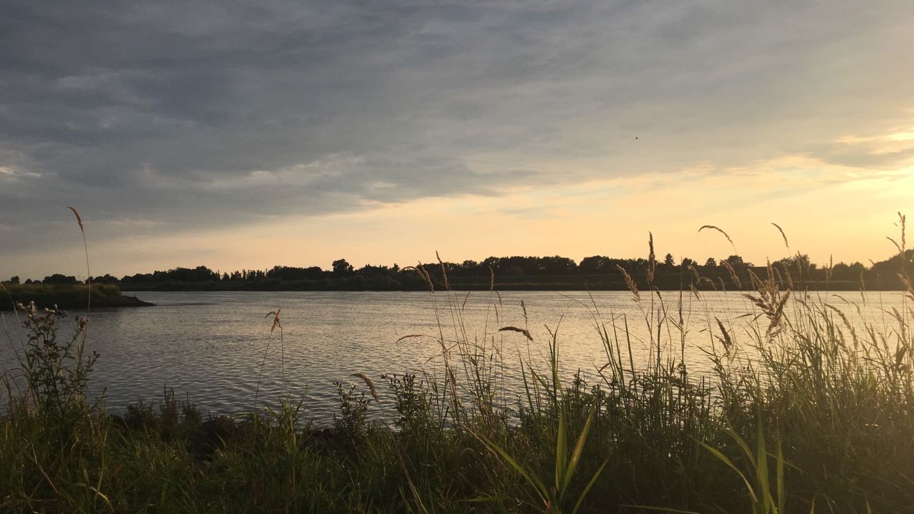 Green Eagle Golf Courses