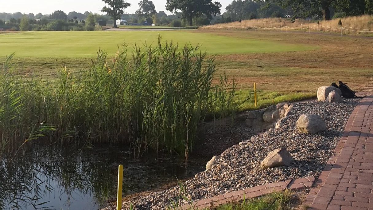 Green Eagle Golf Courses