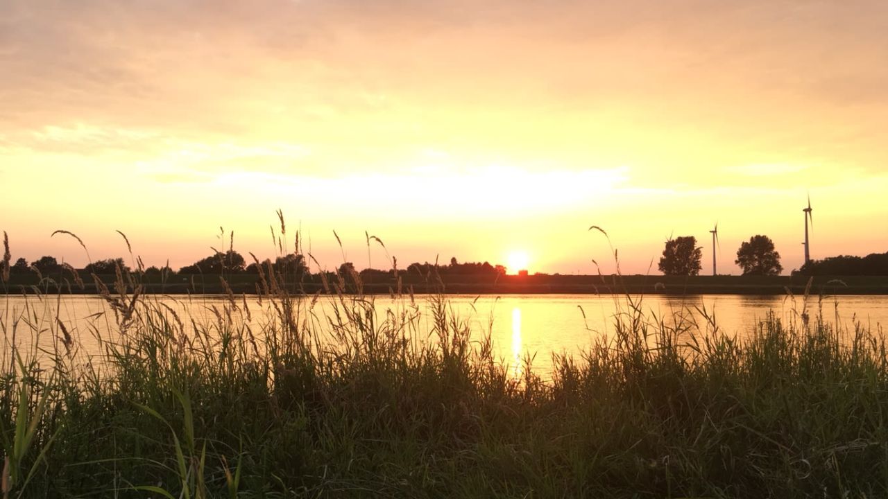 Green Eagle Golf Courses