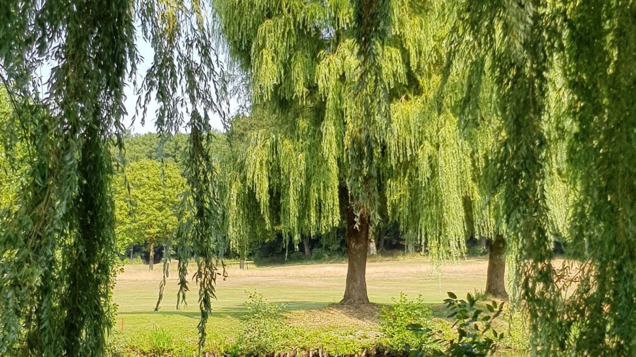 Golfclub Hamburg Gut Waldhof