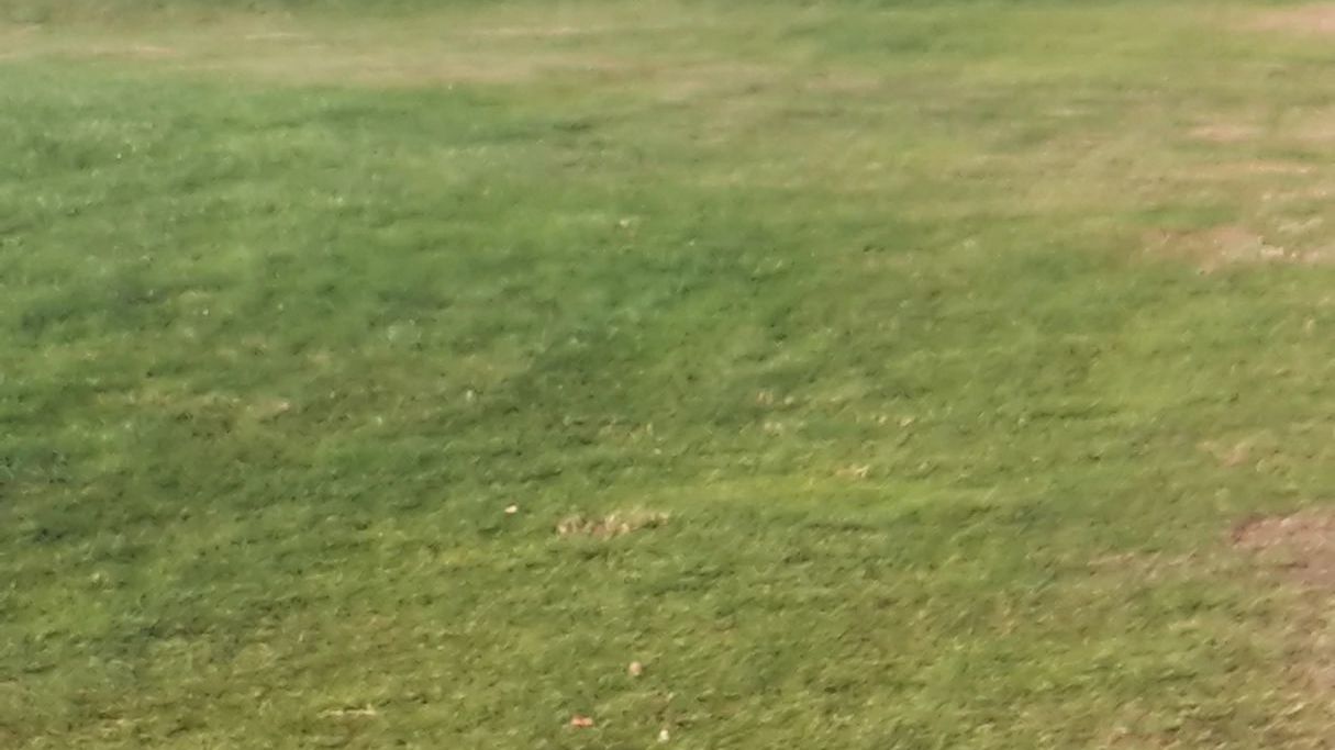 Green Eagle Golf Courses