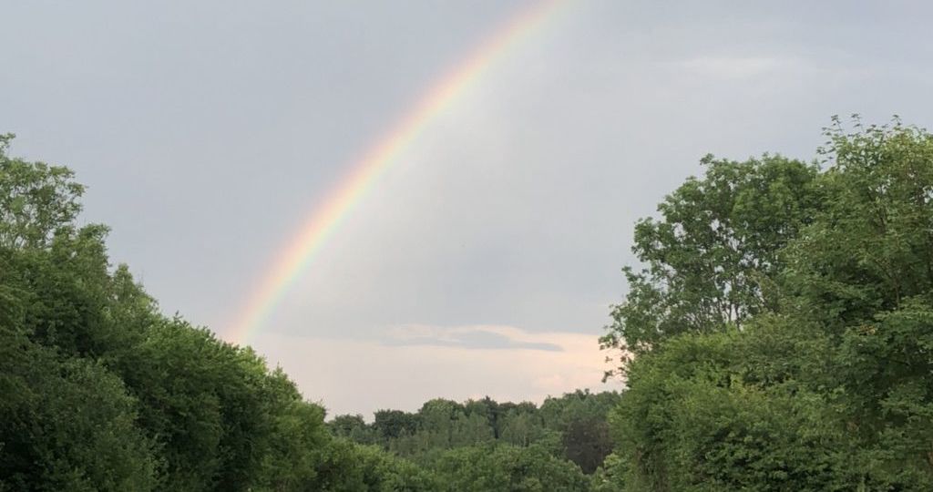 GolfResort Hardenberg