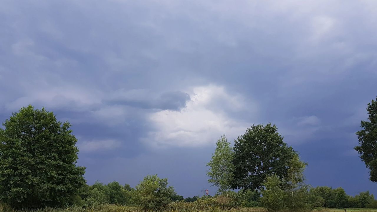 Green Eagle Golf Courses