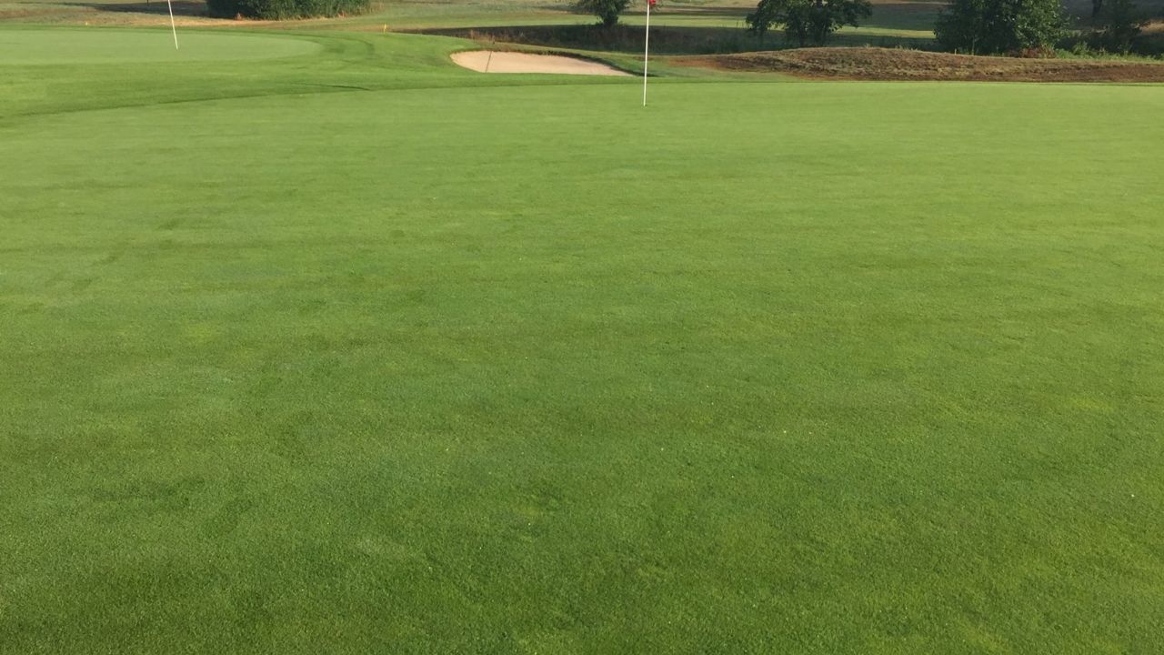 Achimer Golfclub e.V.