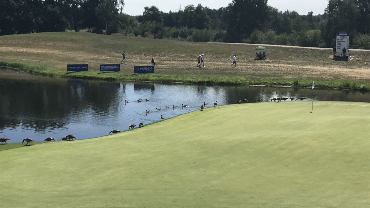 Green Eagle Golf Courses