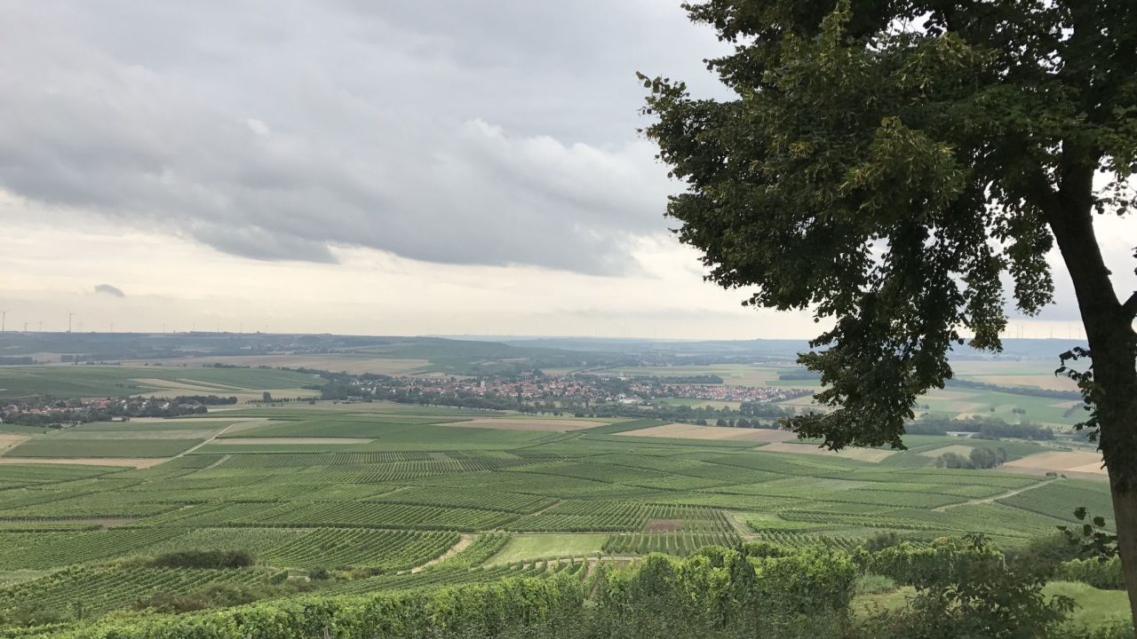 GC Rheinhessen