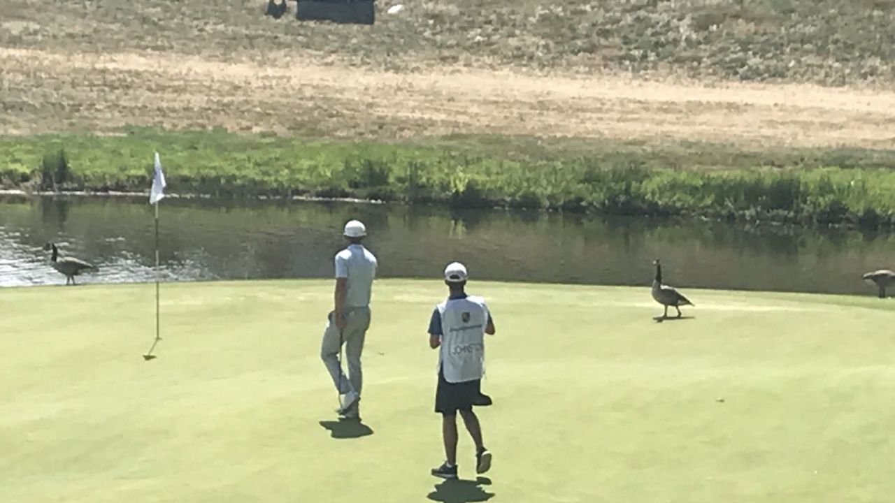 Green Eagle Golf Courses