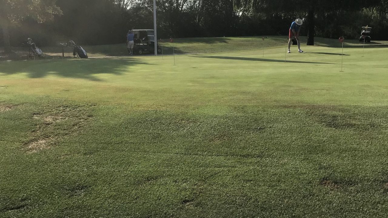 Golf Resort Bad Griesbach, Golfplatz Lederbach