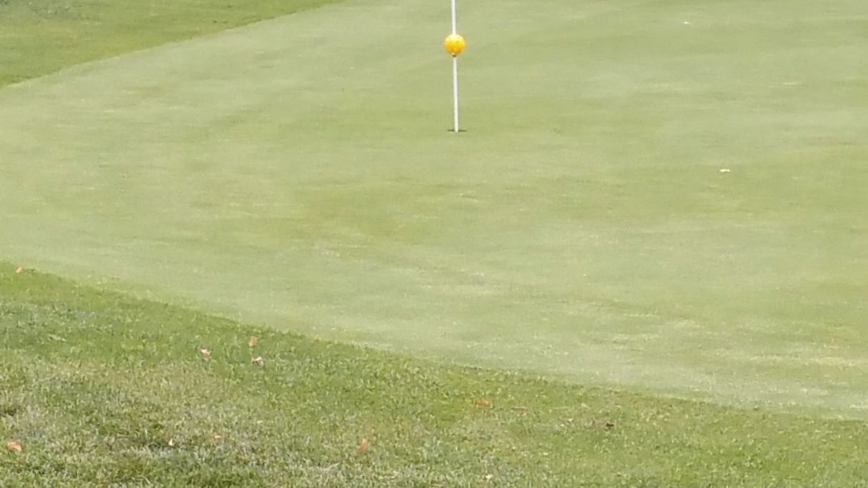 Golfclub Schaumburg e.V.