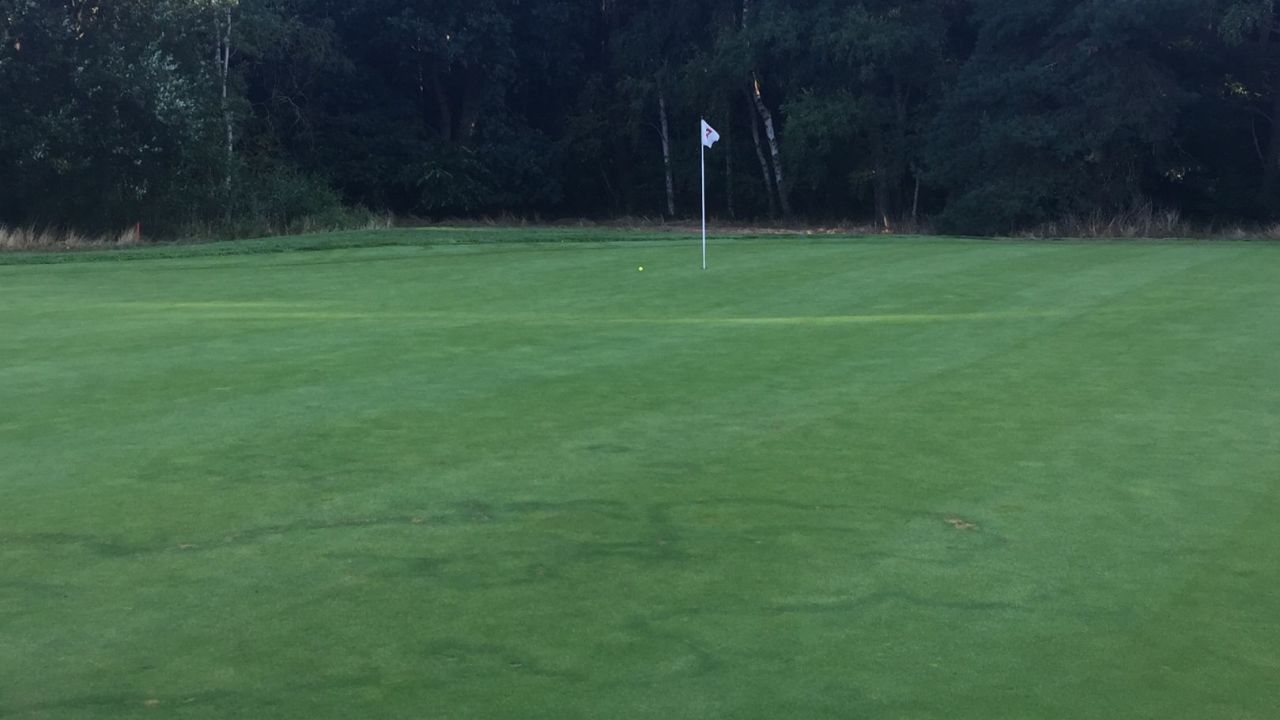 Achimer Golfclub e.V.