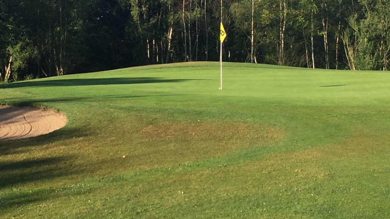 Achimer Golfclub e.V.