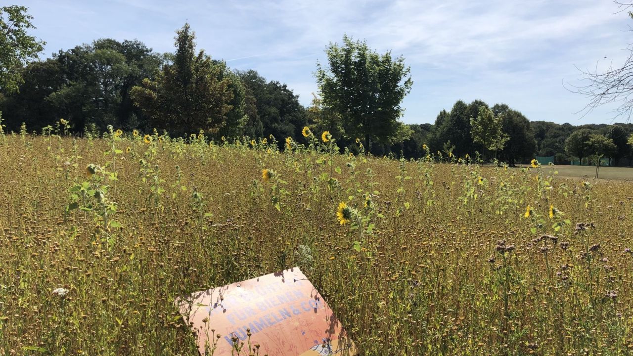 Golf Club Burg Overbach