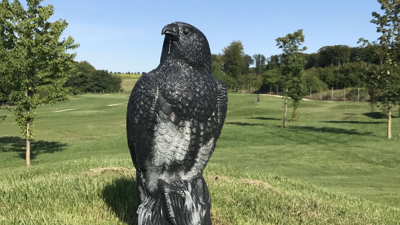 Forest Hills Golf & Country Club