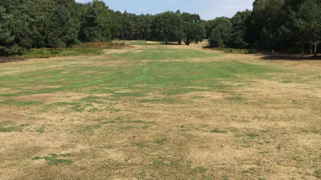 Europäischer GC Elmpter Wald