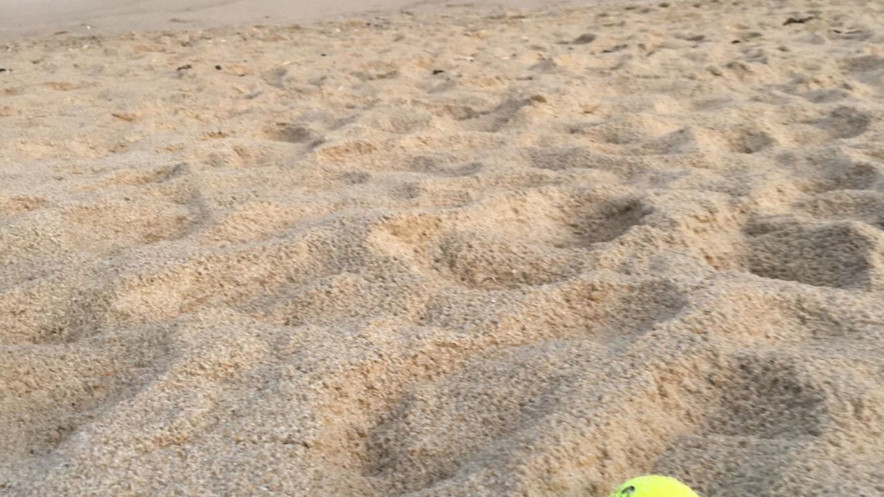 1. Bremer Cross Golf Club n.e.V.