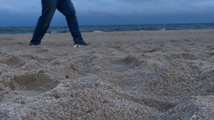 1. Bremer Cross Golf Club n.e.V.