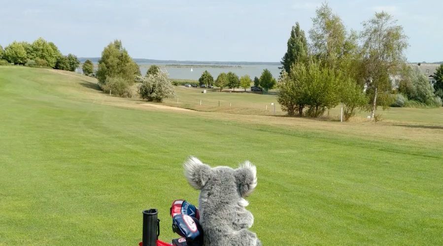 GC Balmer See-Insel Usedom