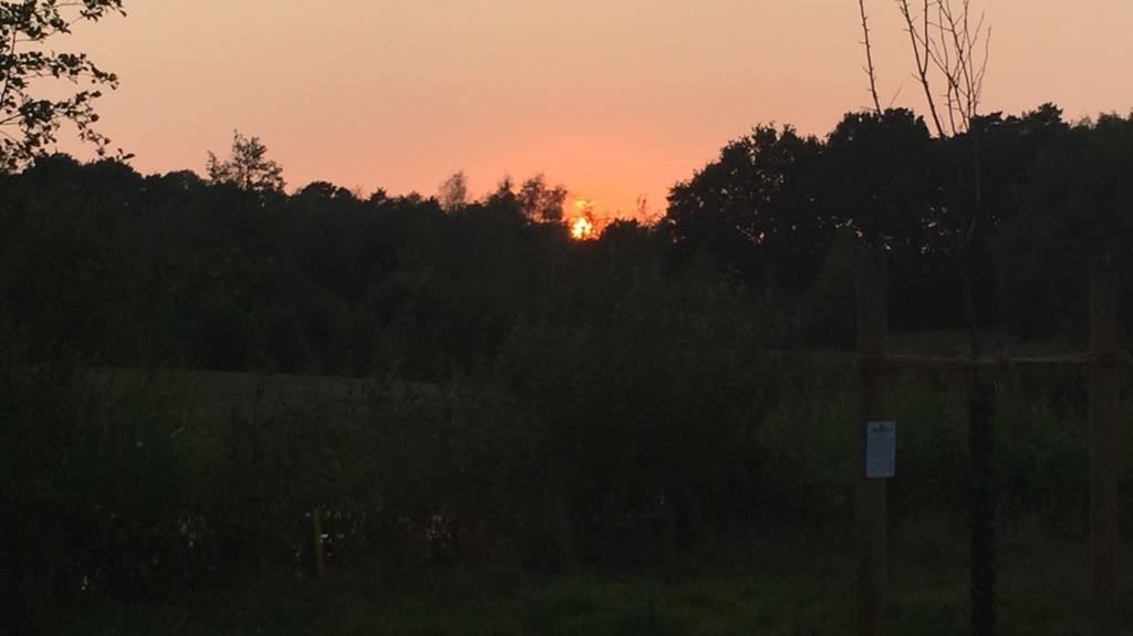 Achimer Golfclub e.V.