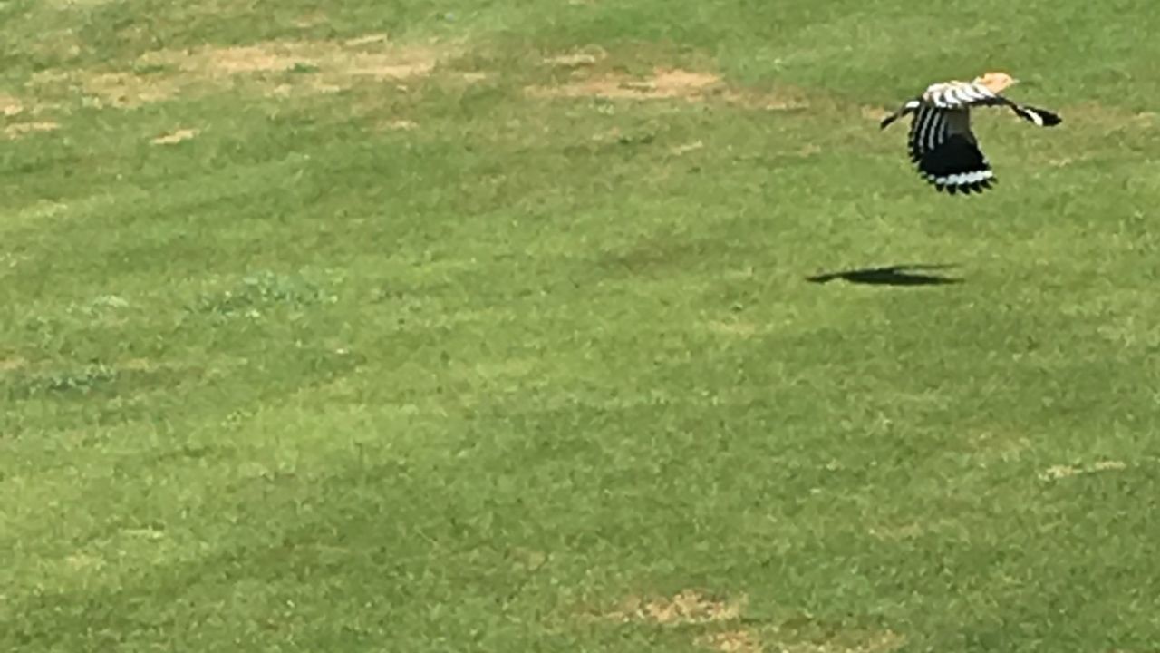 Lighthouse Golf & Spa Resort