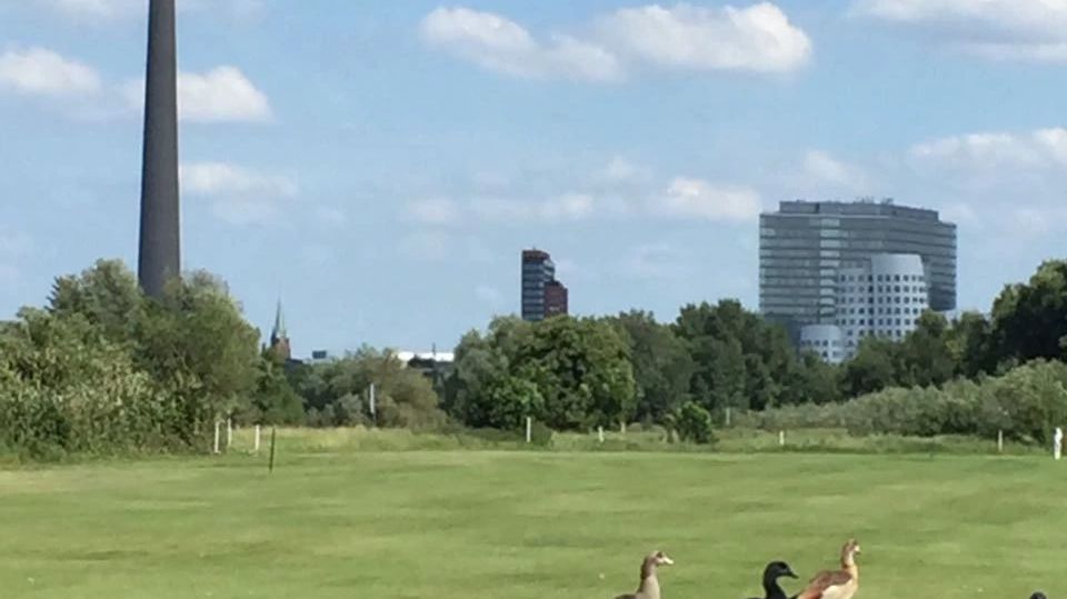 GSV Düsseldorf Lausward