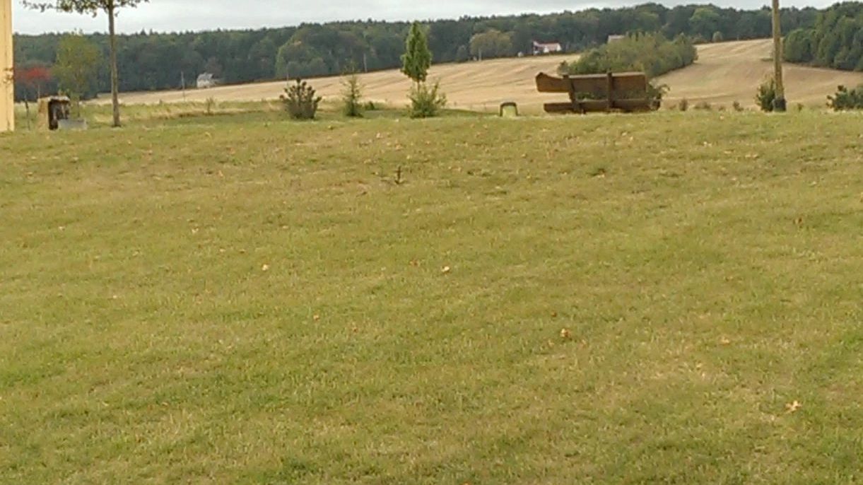 Dresdner GC Tharandter Wald