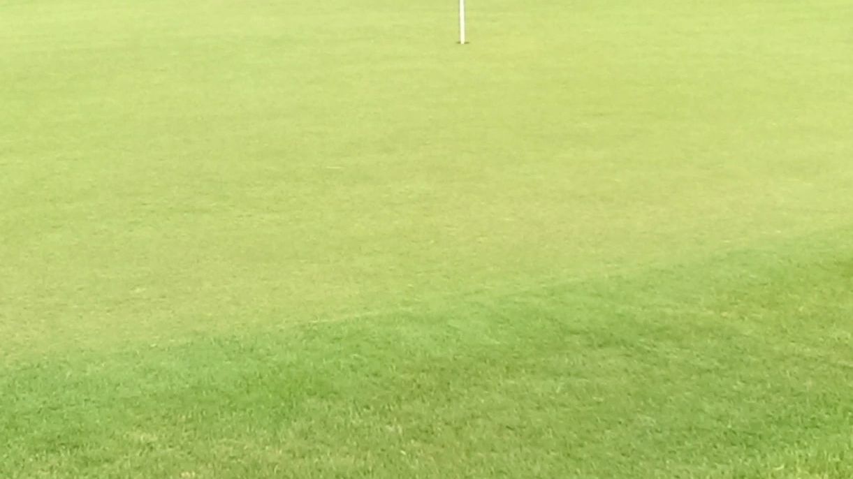 Dresdner GC Tharandter Wald