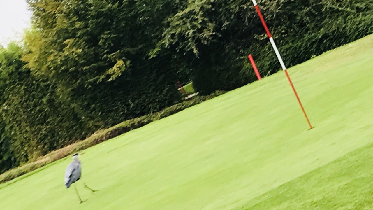 Golf Range Frankfurt