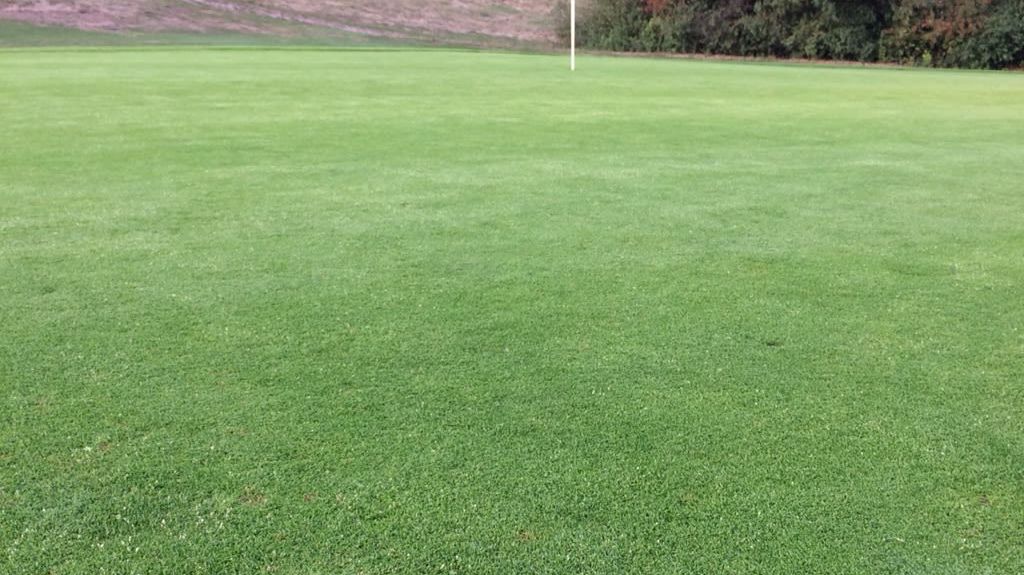 GolfResort Hardenberg