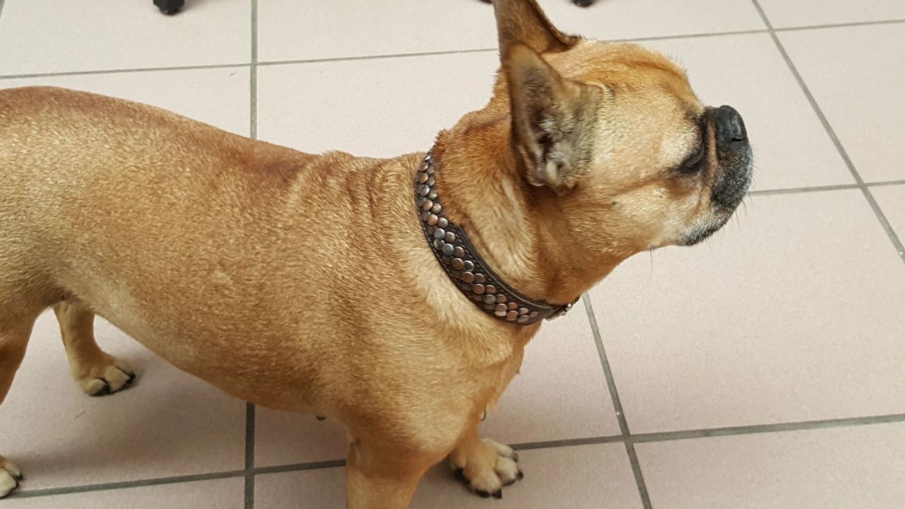 Golf Bad Münstereifel