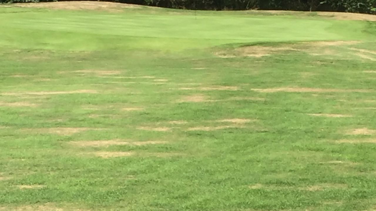 Artland Golflcub e.V.