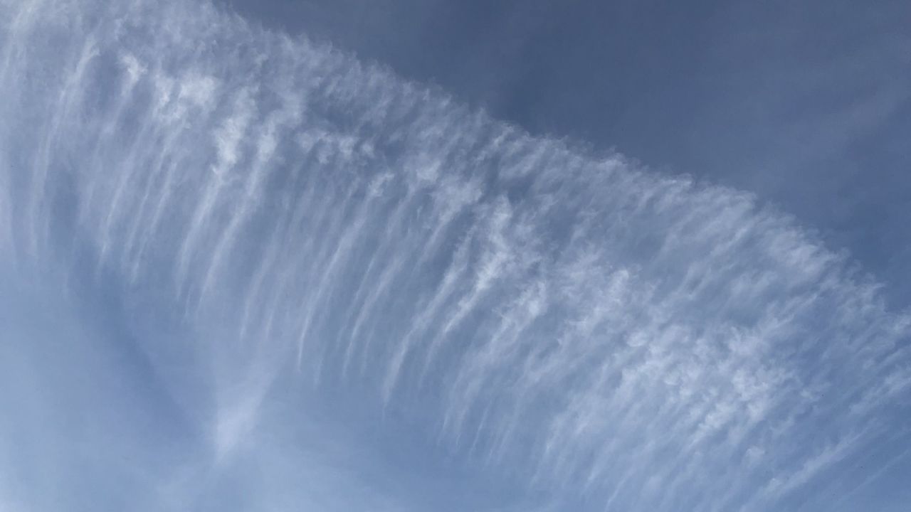 1. Bremer Cross Golf Club n.e.V.