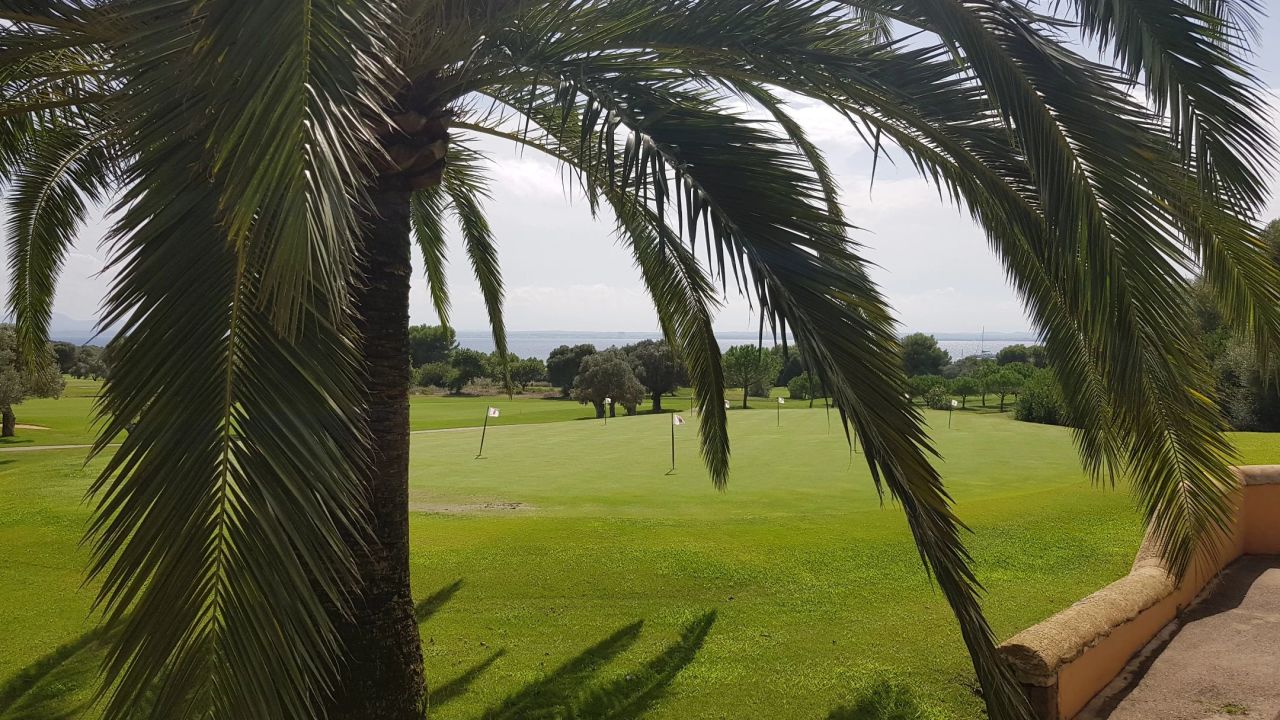 Club de Golf Alcanada