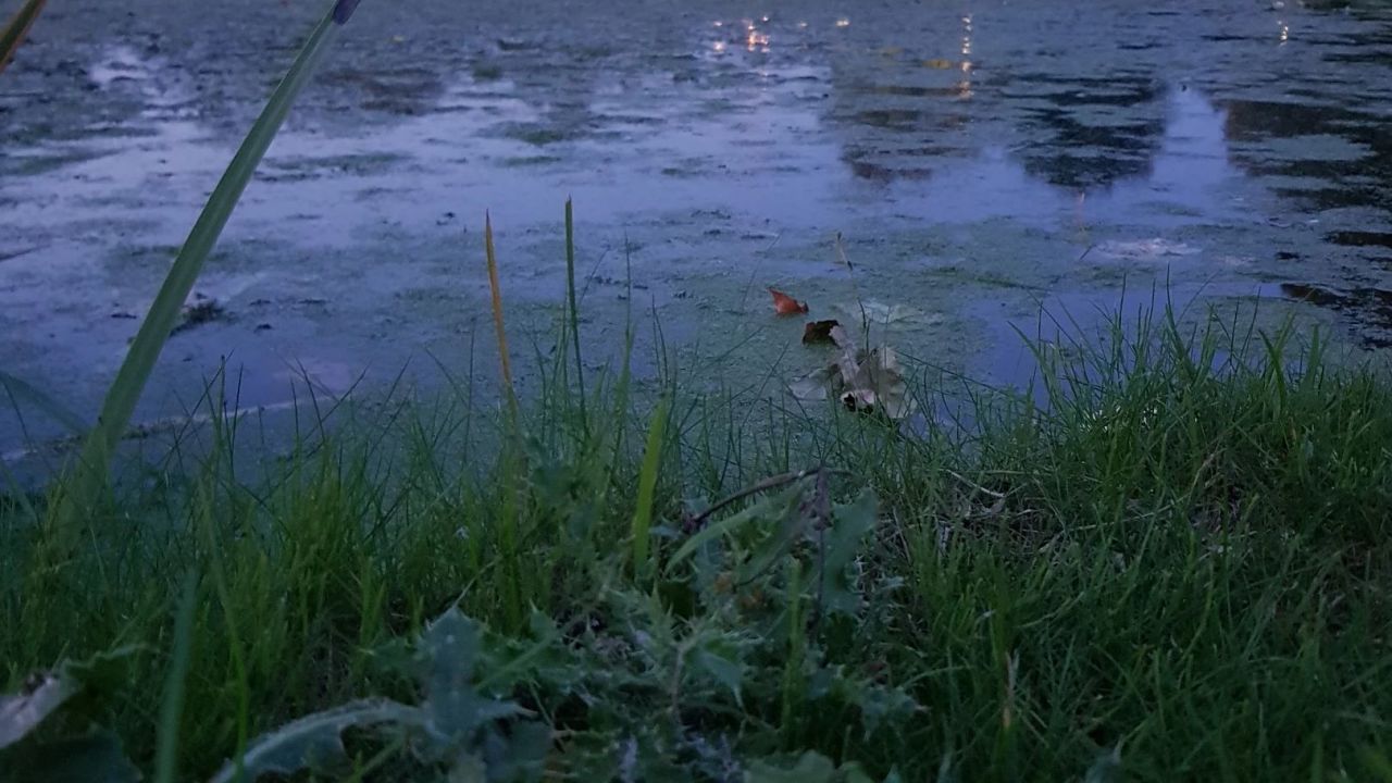 Golfanlage Hummelbachaue