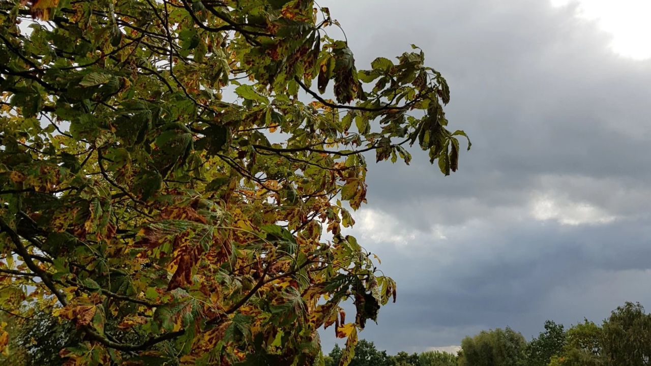 Golfresort Strandgrün Timmendorfer Strand