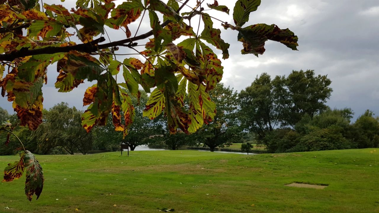 Golfresort Strandgrün Timmendorfer Strand