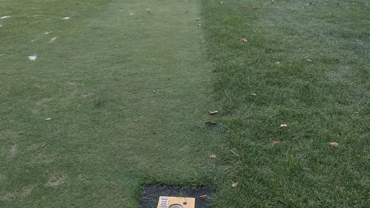 Golfresort Strandgrün Timmendorfer Strand