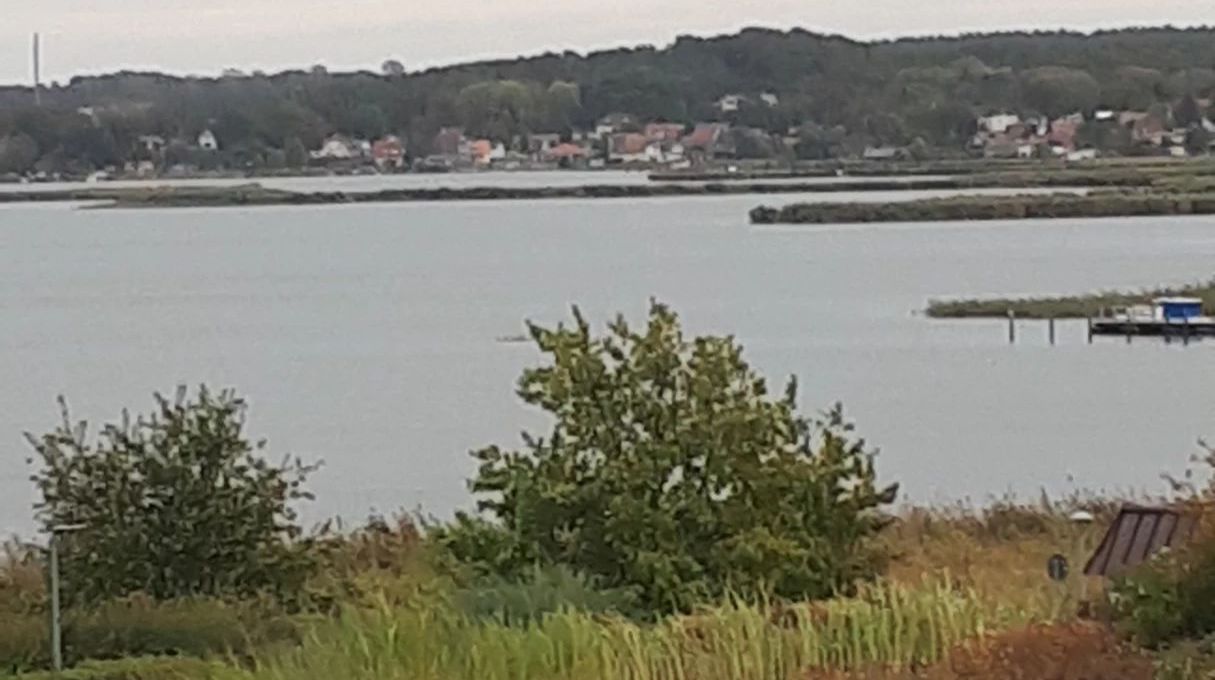 GC Balmer See-Insel Usedom
