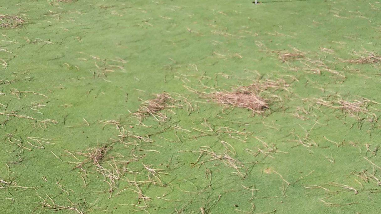 Golf Club Novo Sancti Petri