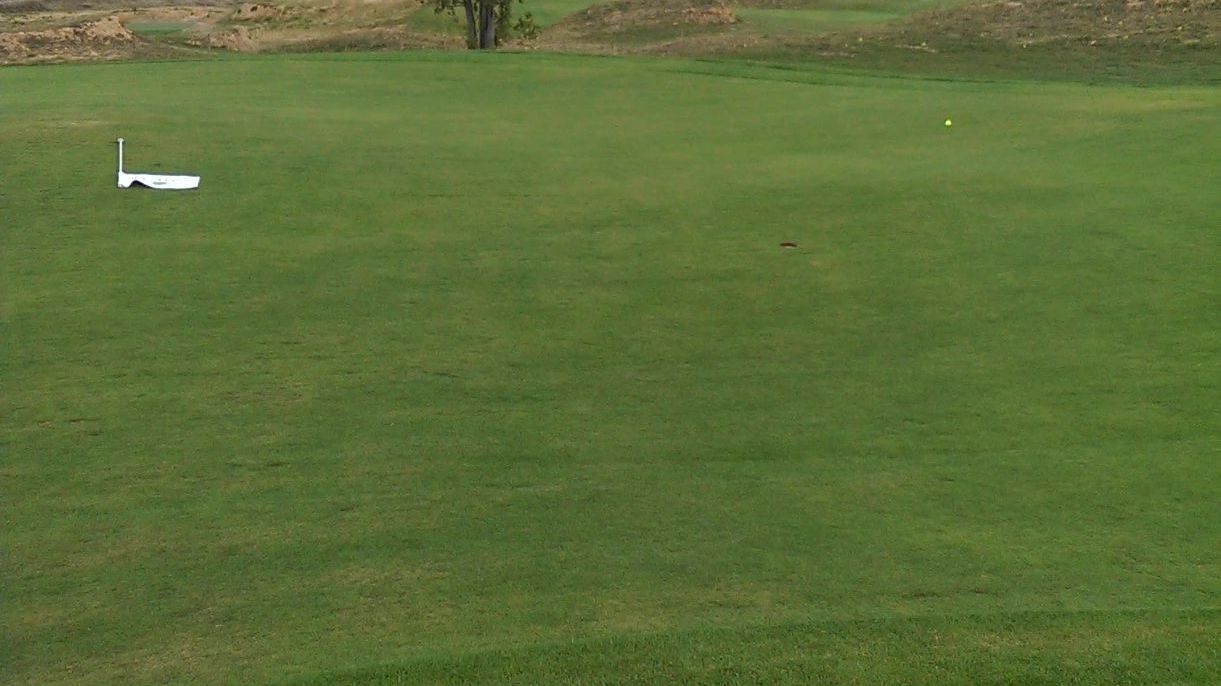 Dresdner GC Tharandter Wald