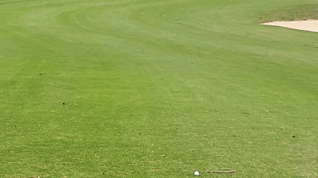 GC Balmer See-Insel Usedom