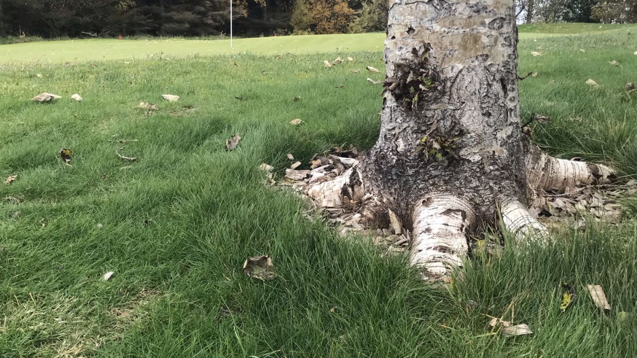 Leynir Golf Club - Akranes Course