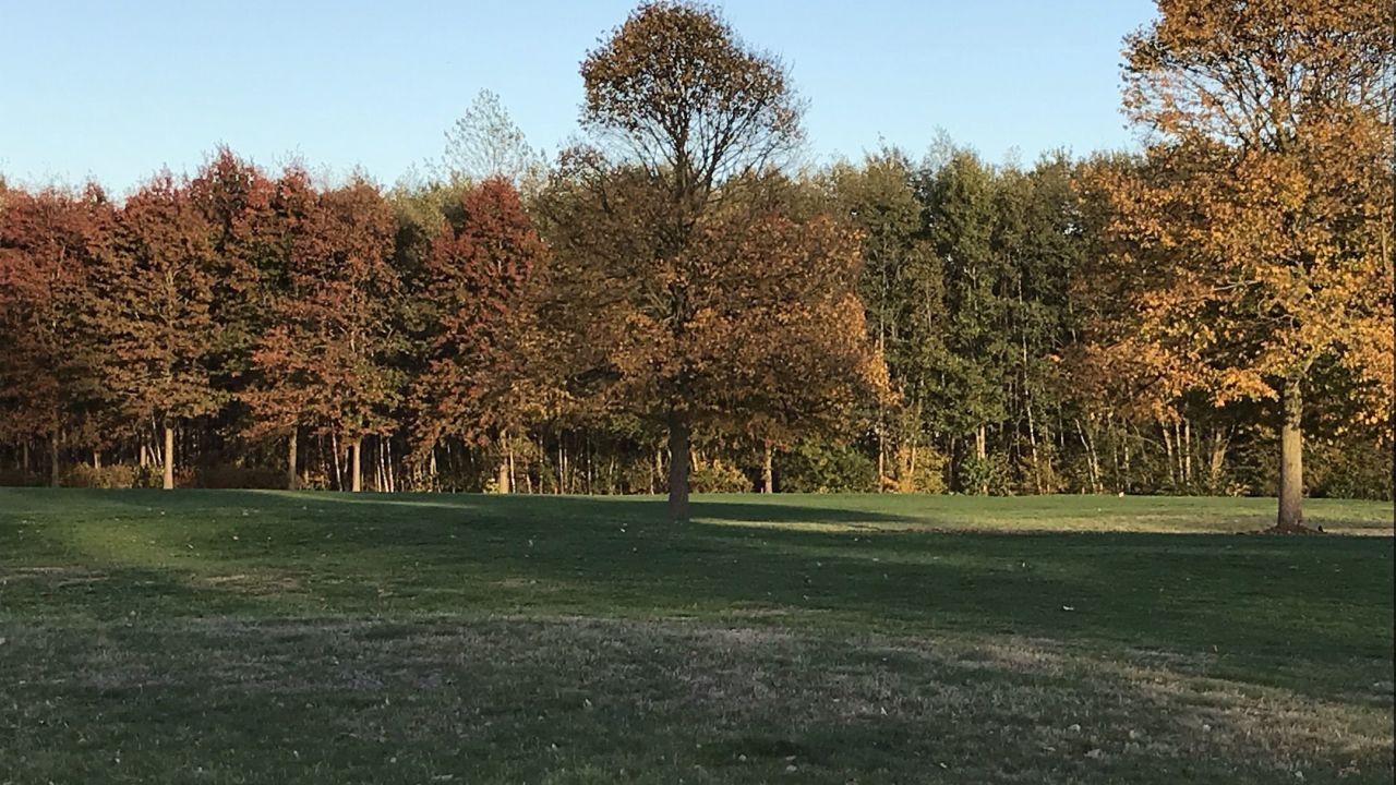 Golfclub am Meer e.V.