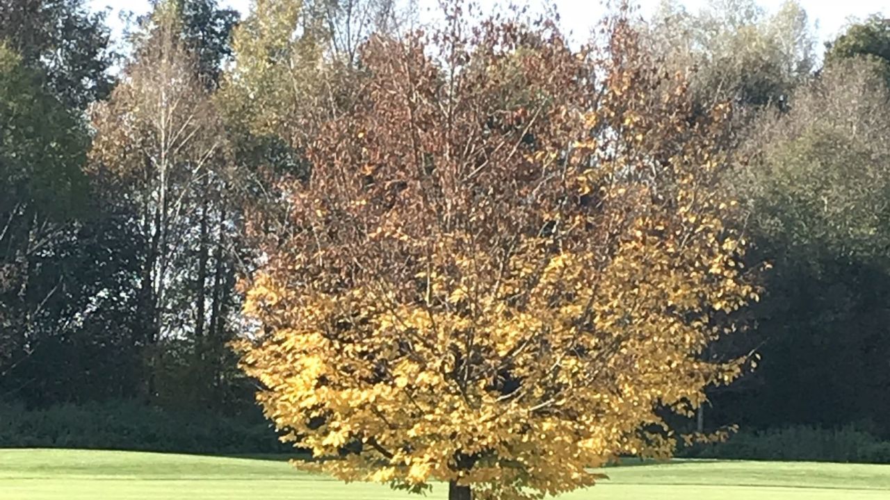 GC München Eichenried