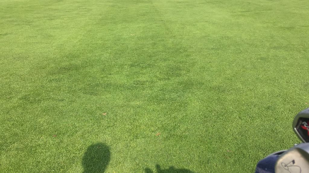 GC Lindau-Bad Schachen