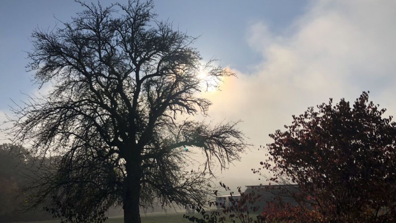 GC Main-Spessart-Eichenfürst