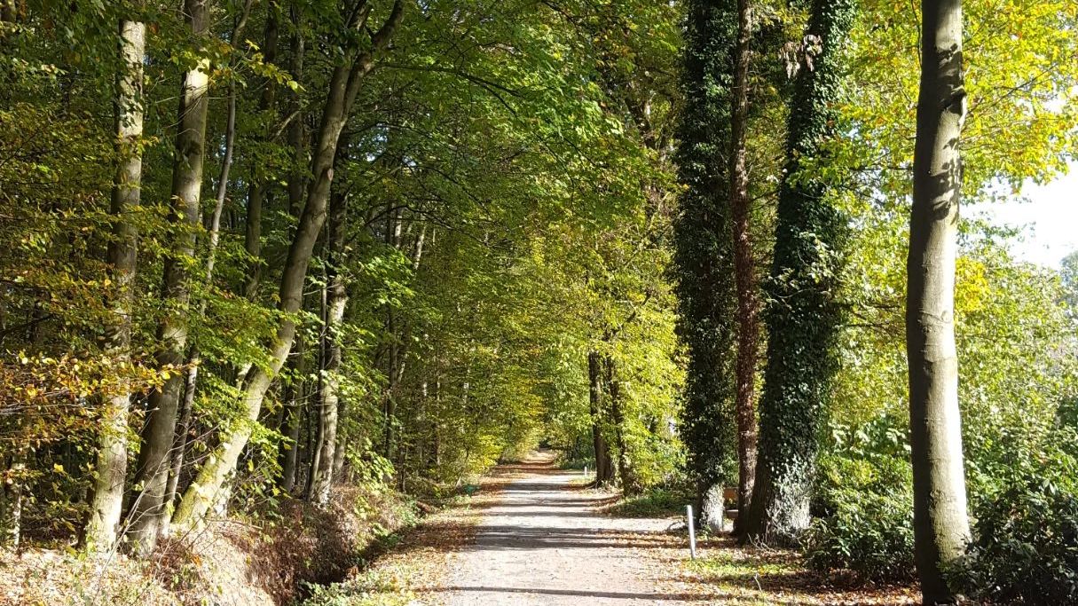 GC Gut Hahues zu Telgte