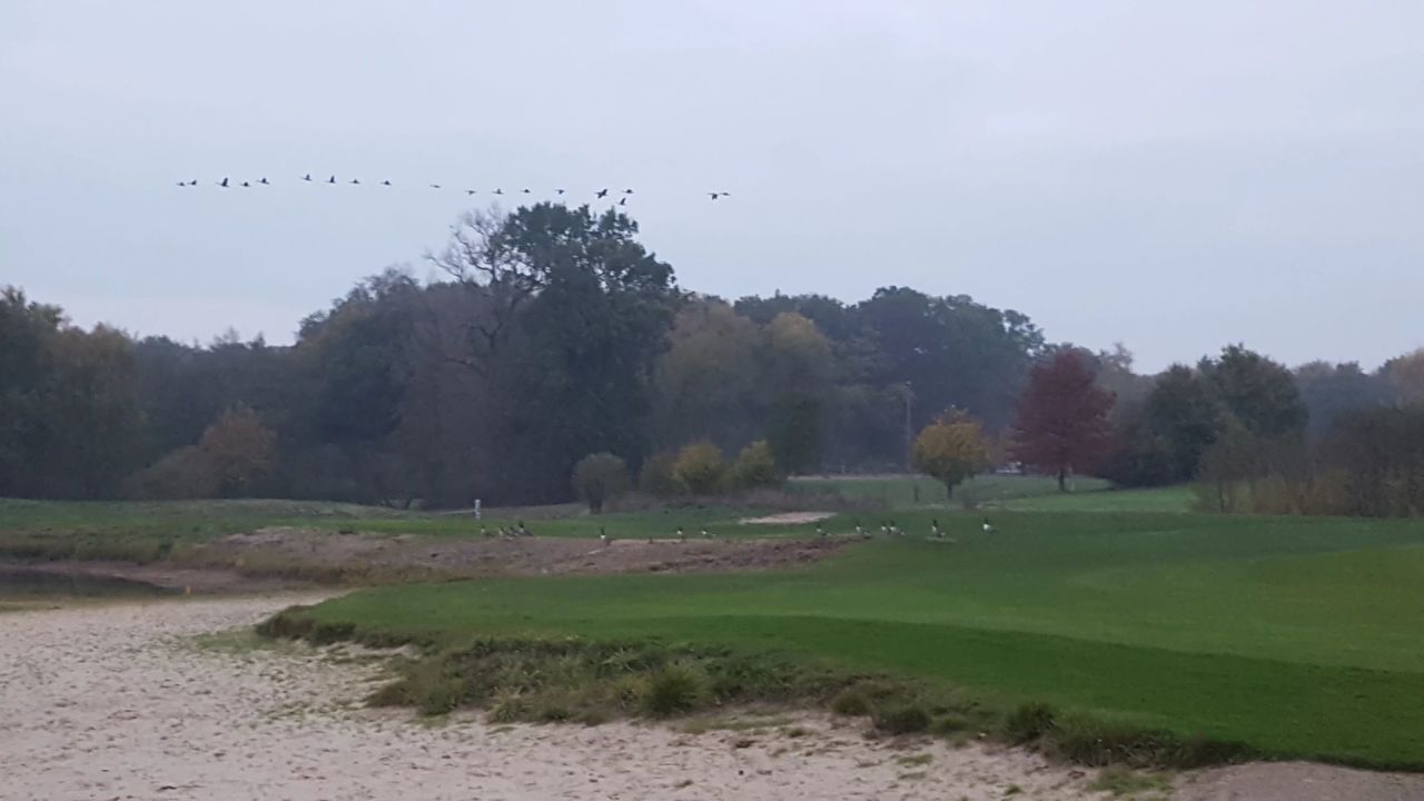 GC Gut Hahues zu Telgte