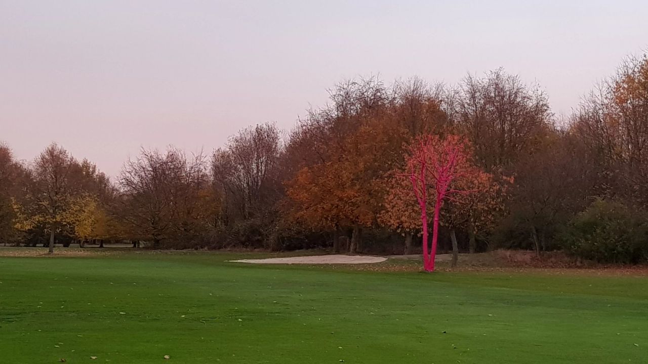 GCC Elfrather Mühle