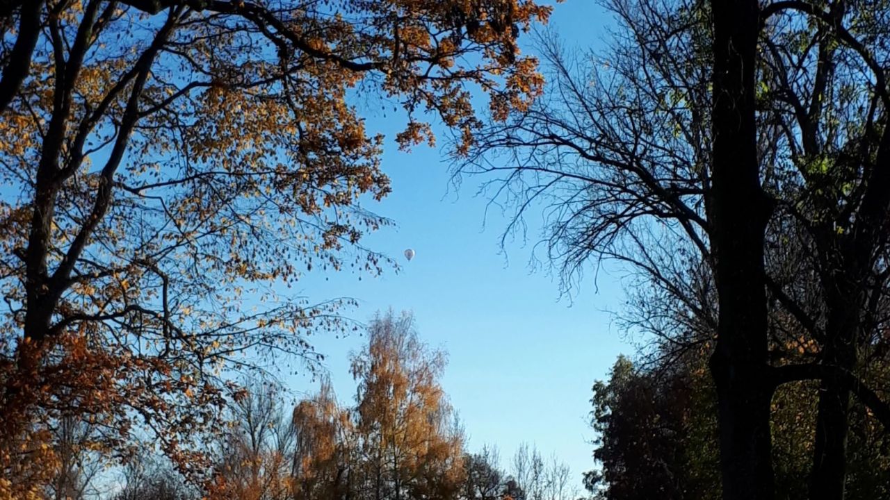 Golfclub zu Gut Ludwigsberg