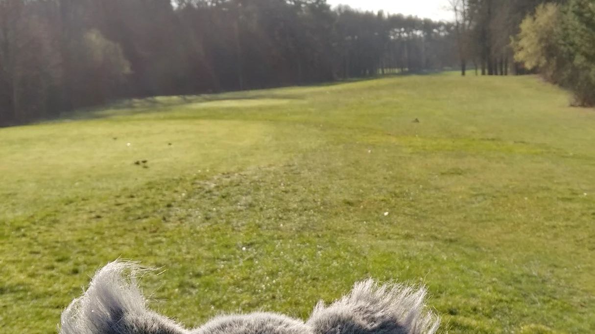 Golf Club Bad Saarow